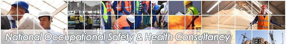 National Occupational Safety and Health Consultancy